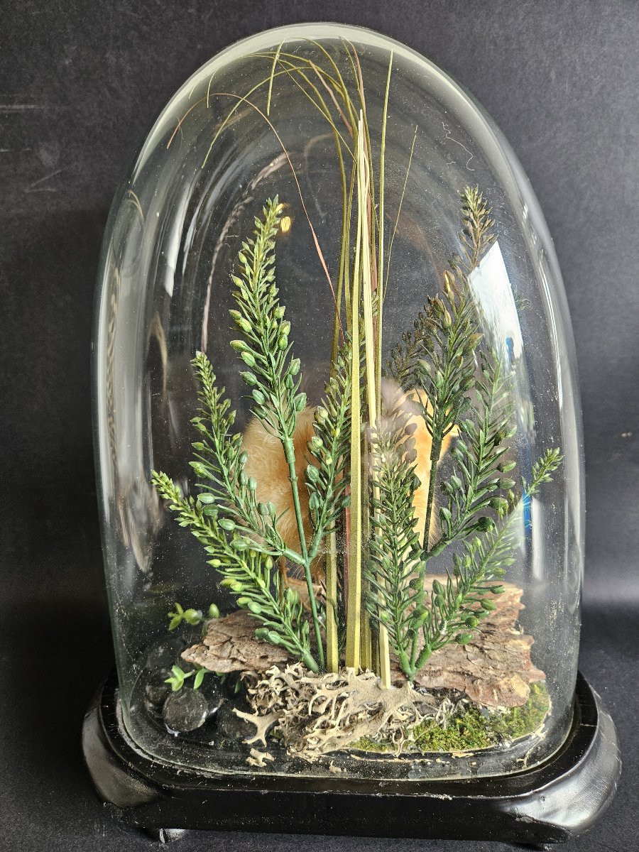 Globe With Taxidermied Duckling-photo-2