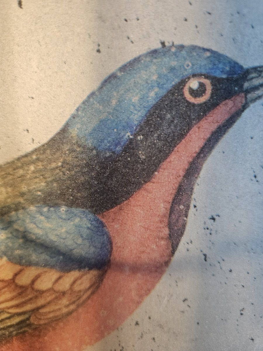 Cage à oiseaux en trompe l'oeil-photo-4