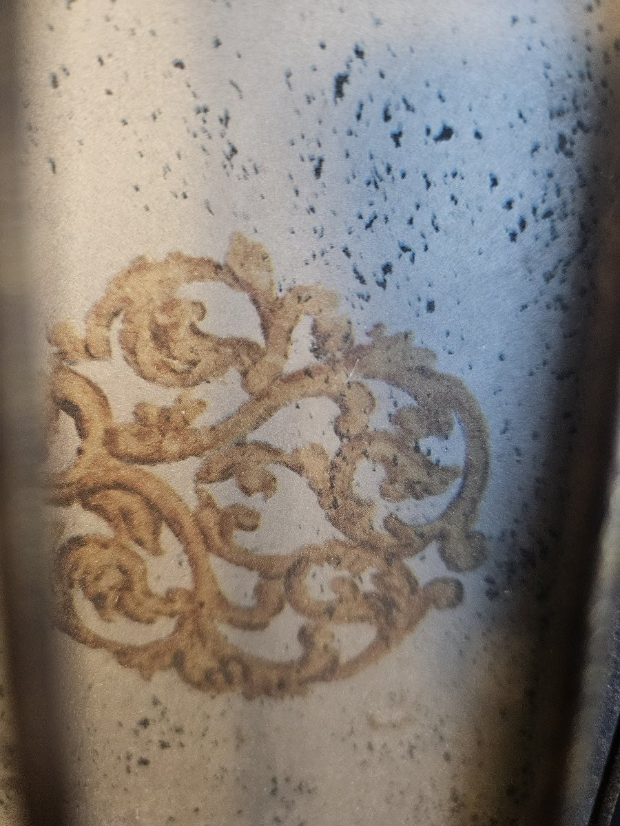 Cage à oiseaux en trompe l'oeil-photo-1