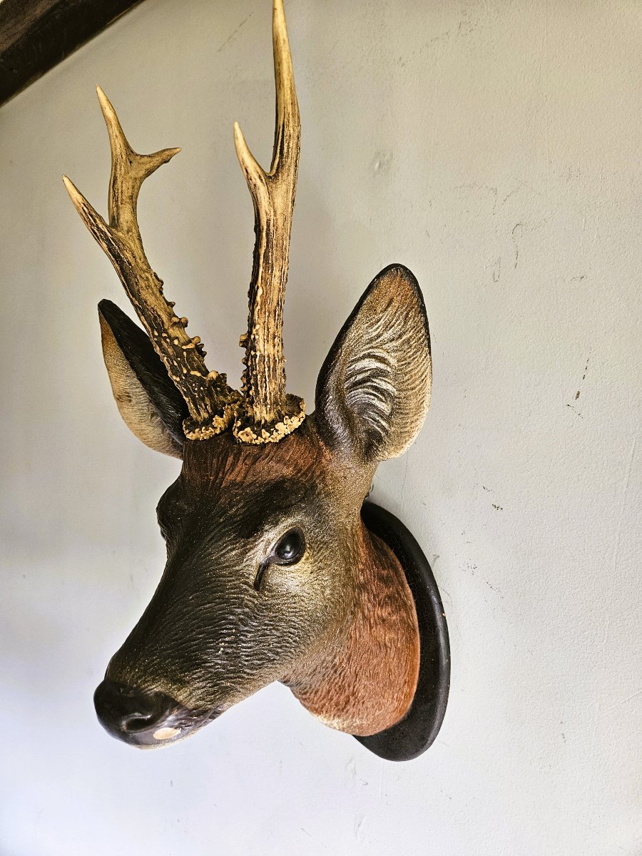 Painted Austrian Terracotta Deer Head-photo-2