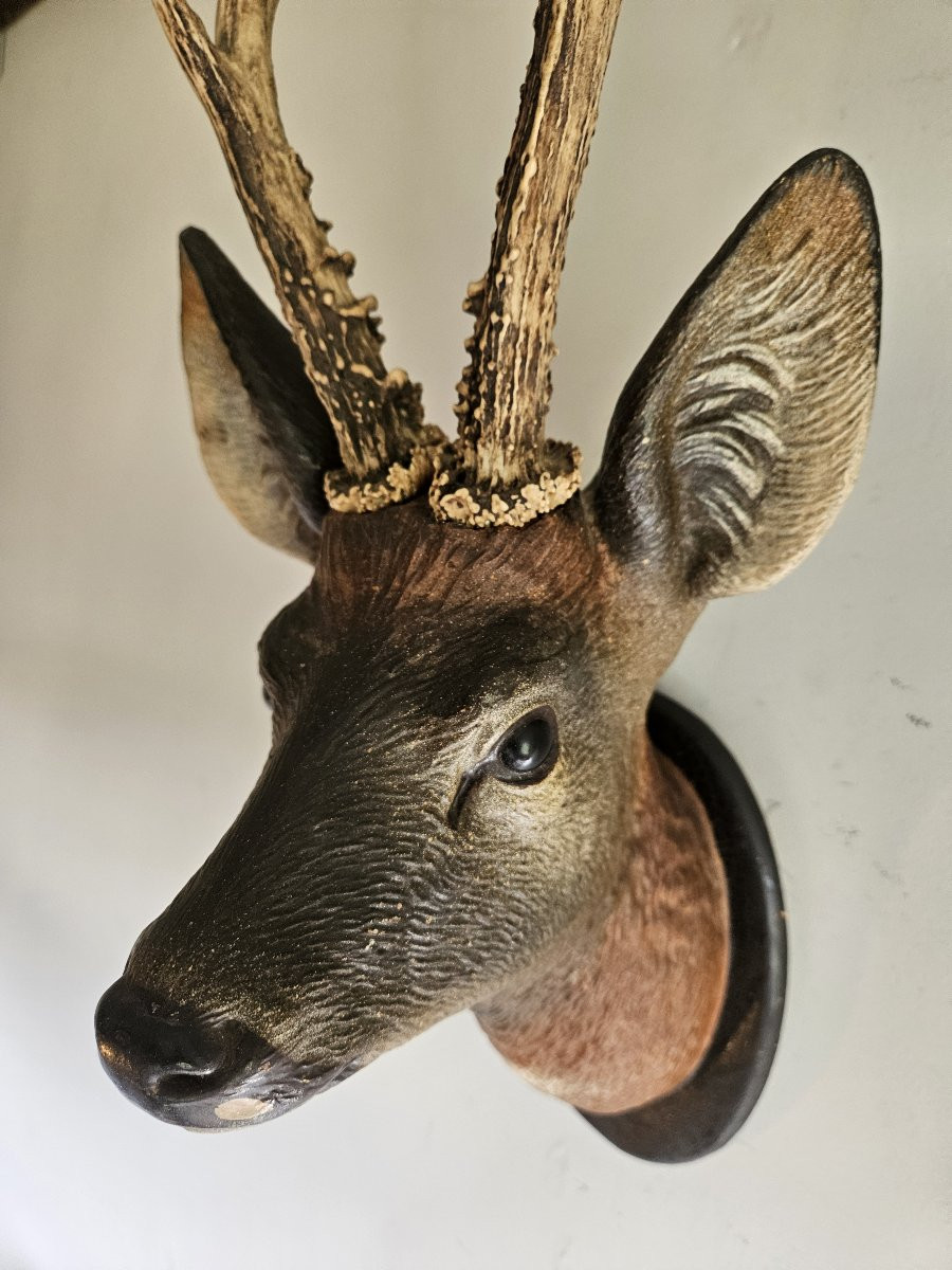 Painted Austrian Terracotta Deer Head-photo-4