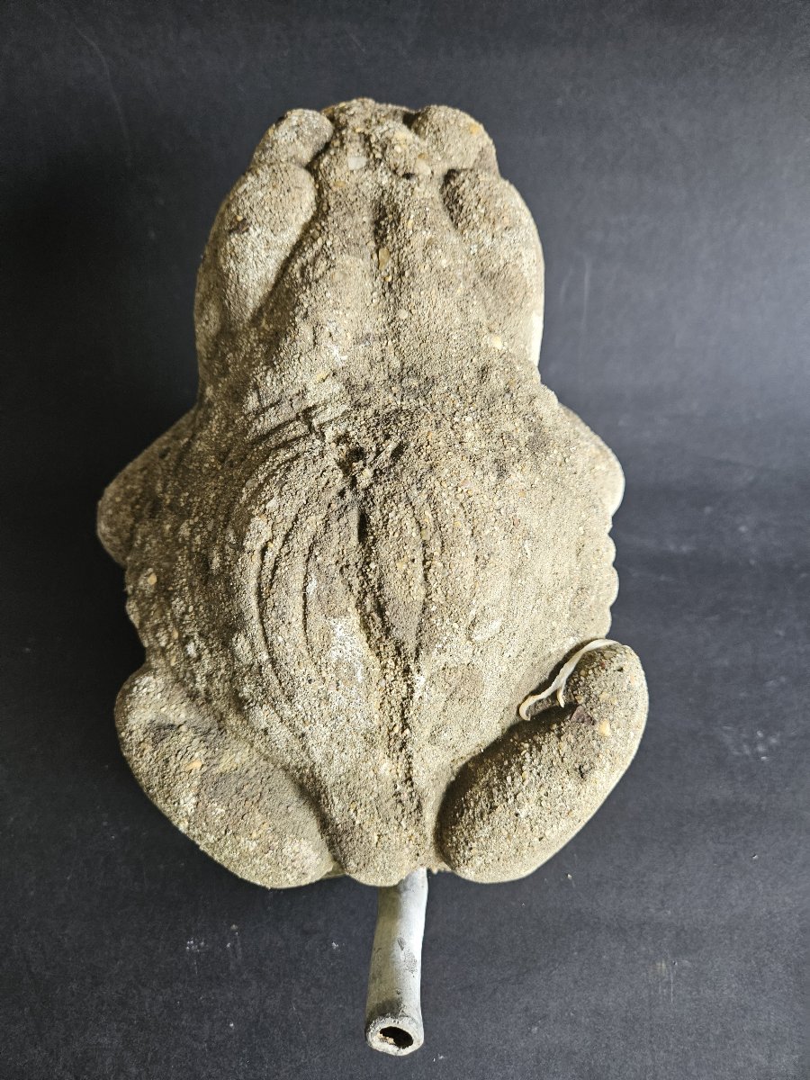 Grenouille fontaine en béton-photo-2