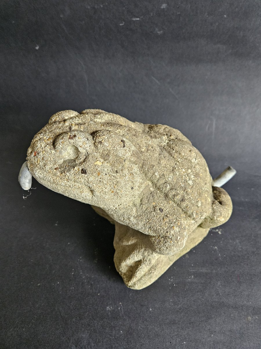 Grenouille fontaine en béton-photo-4