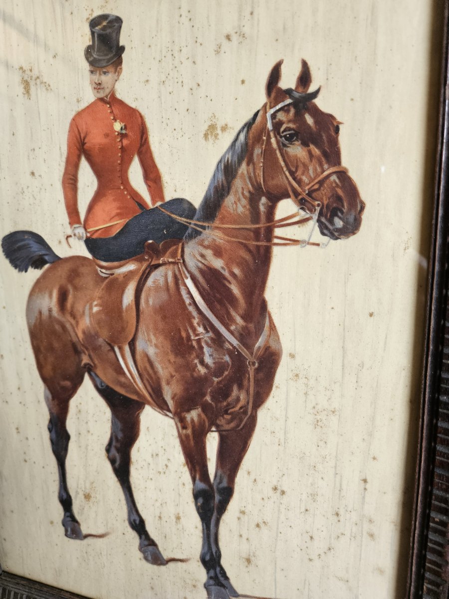 Series Of 4 Equestrian Lithographs-photo-6