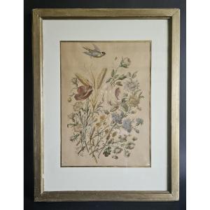 Flowers And Bird - 19th Century Watercolor