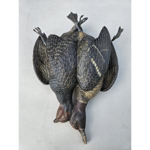 Oiseaux nature morte en terre cuite autrichienne