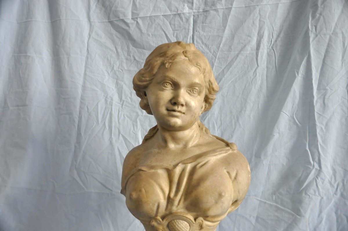 Pair Of Marble Bust-photo-2