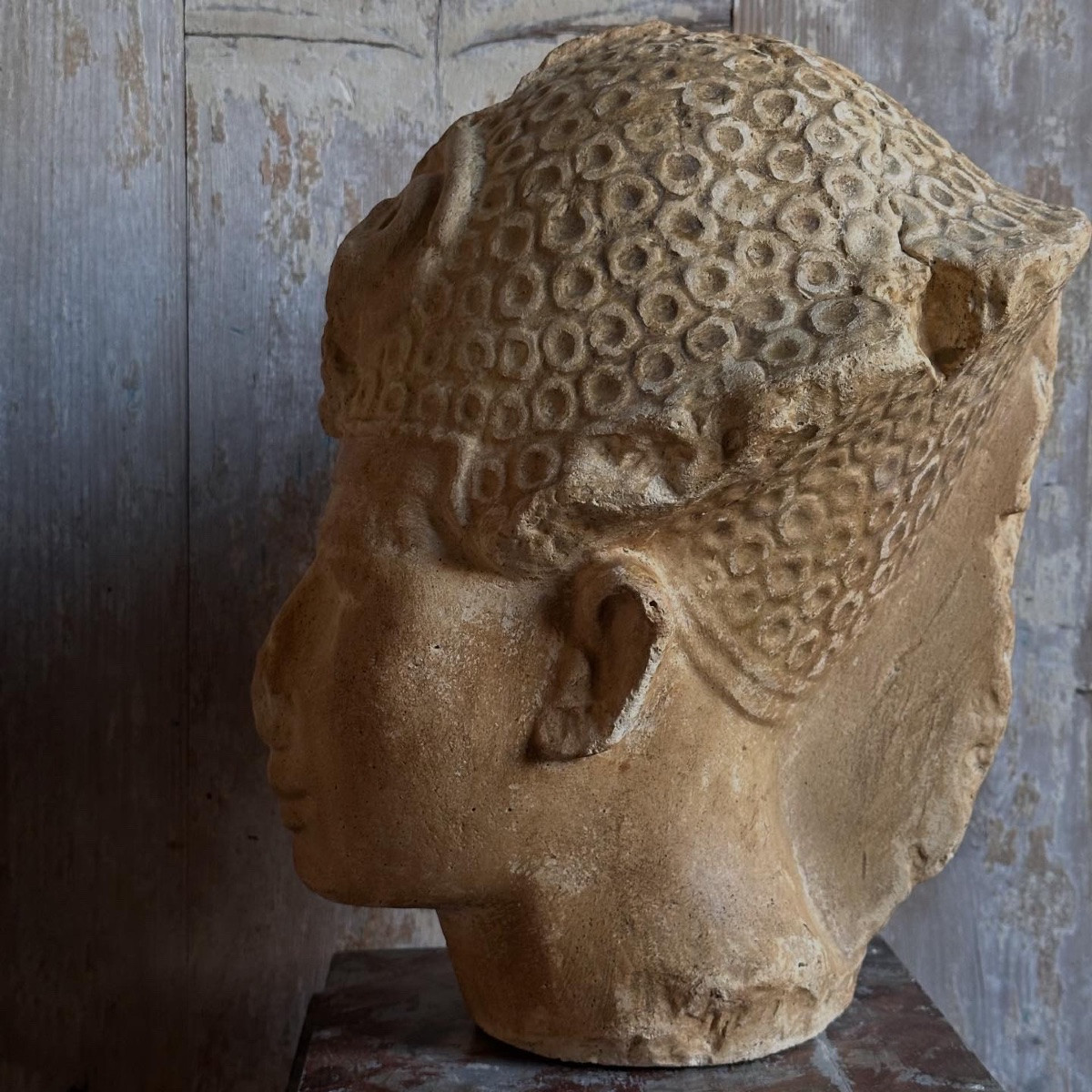 Head Of King Thutmose IV Plaster Cast Louvre Museum Late 19th/early 20th Century-photo-3
