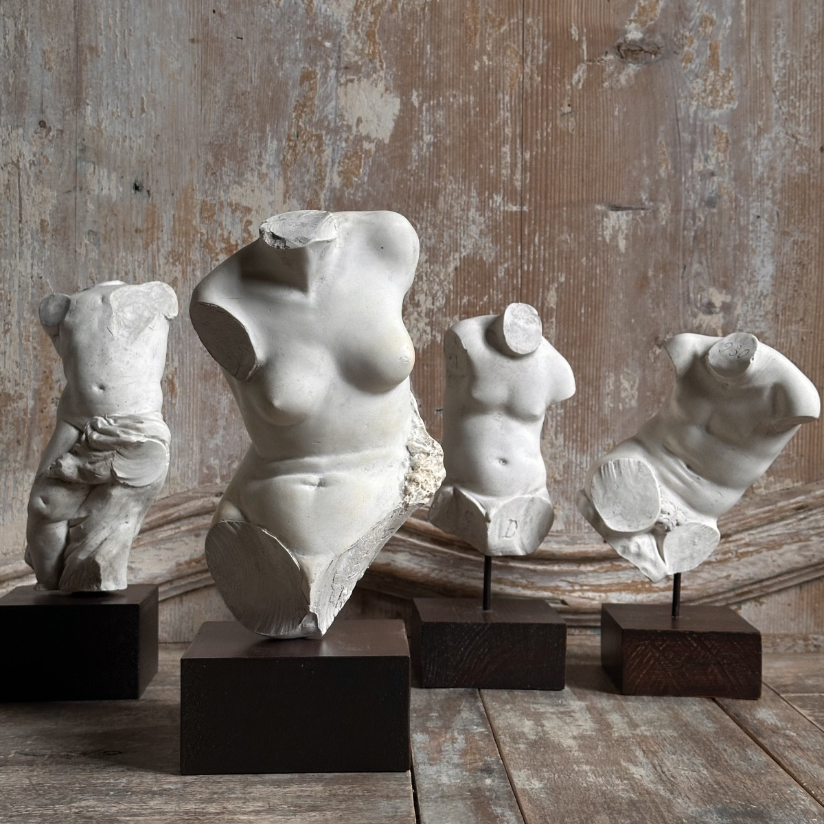 Ensemble de 4 Moulages Plâtre Études de Bustes Académiques XIXe