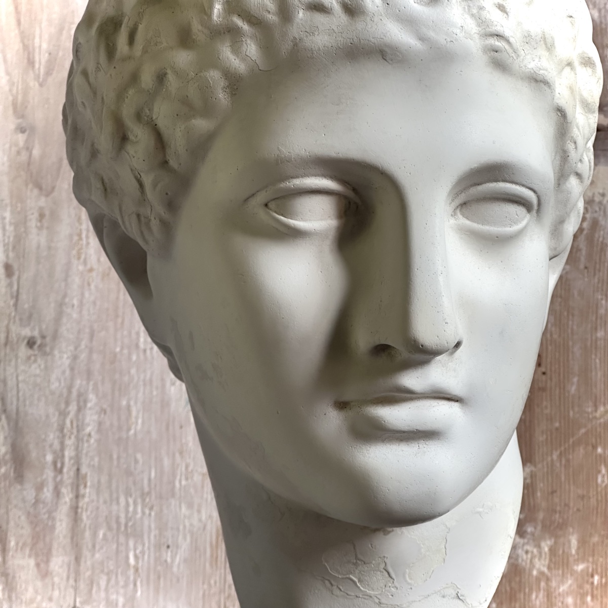 Bust Of A Young Ephebe In The Classical Style / 19th–20th-century Plaster Cast-photo-2