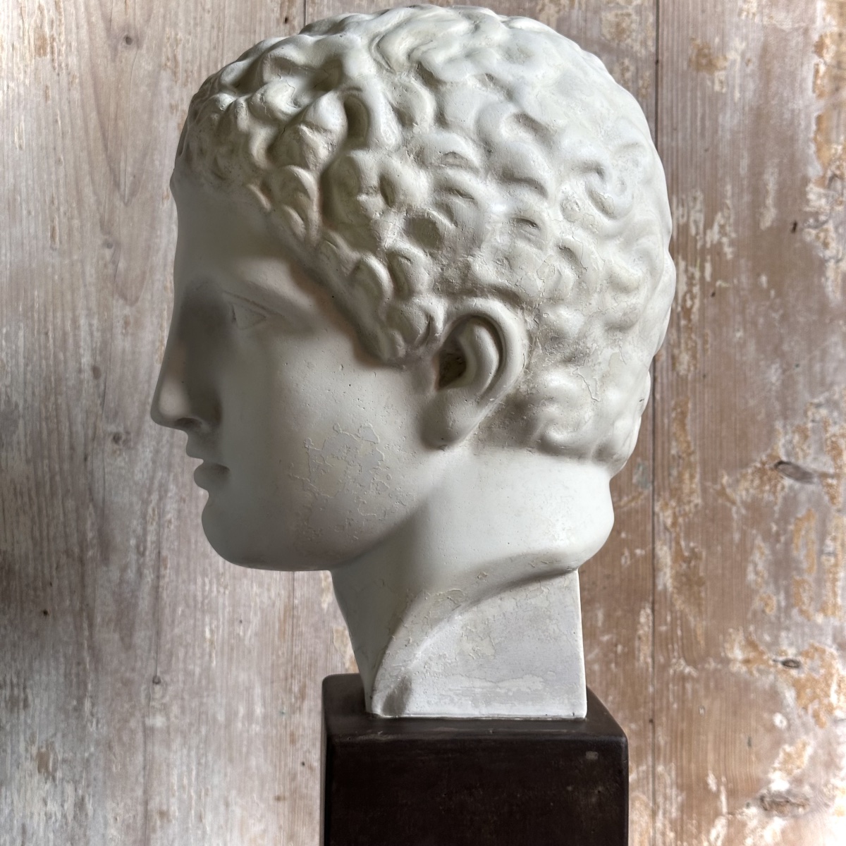 Bust Of A Young Ephebe In The Classical Style / 19th–20th-century Plaster Cast-photo-2