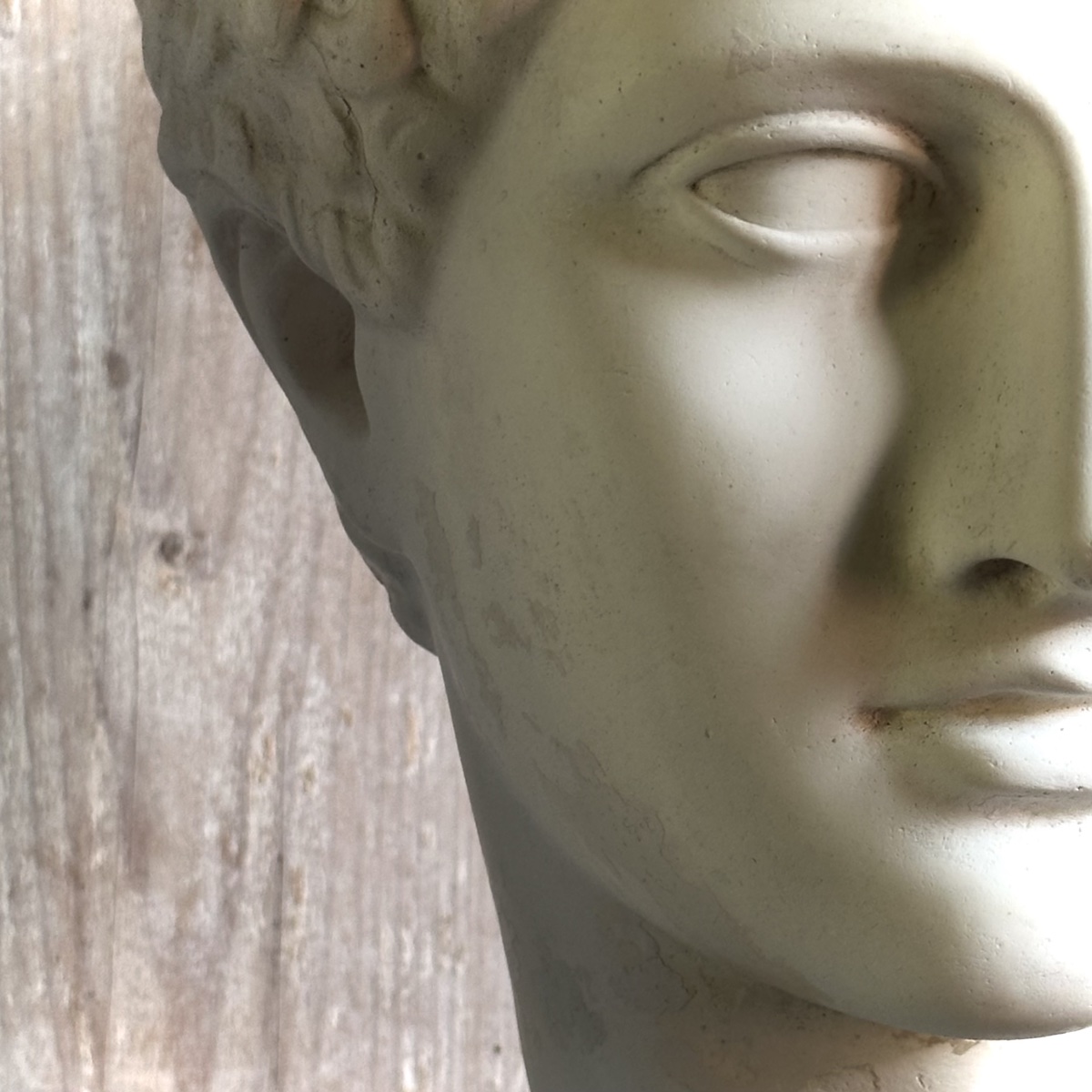 Bust Of A Young Ephebe In The Classical Style / 19th–20th-century Plaster Cast-photo-3
