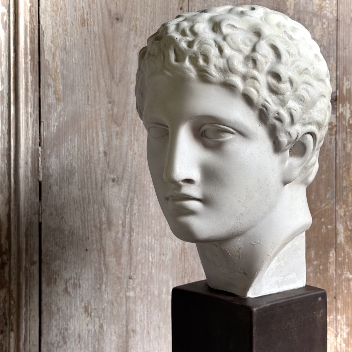 Bust Of A Young Ephebe In The Classical Style / 19th–20th-century Plaster Cast-photo-4