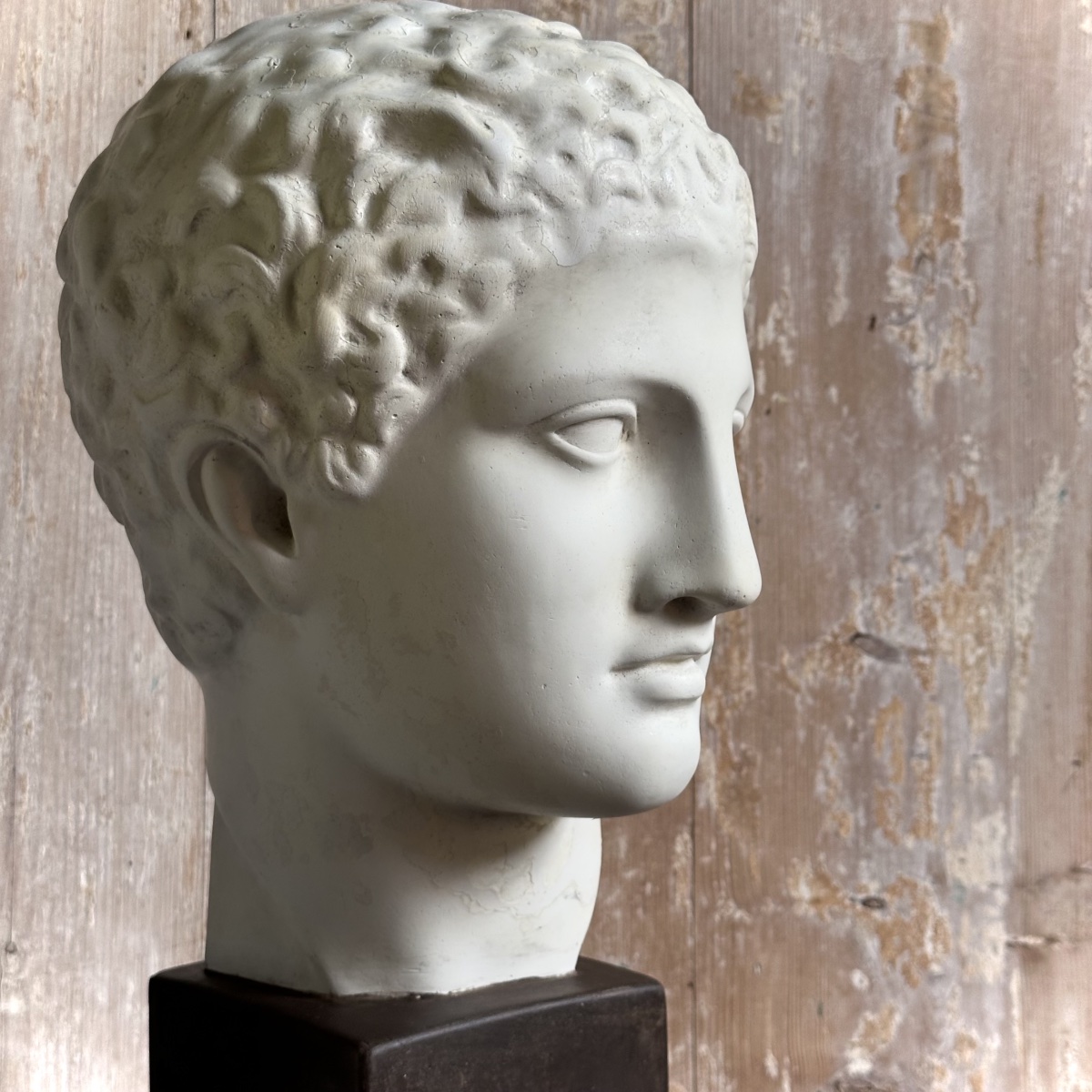 Bust Of A Young Ephebe In The Classical Style / 19th–20th-century Plaster Cast-photo-6