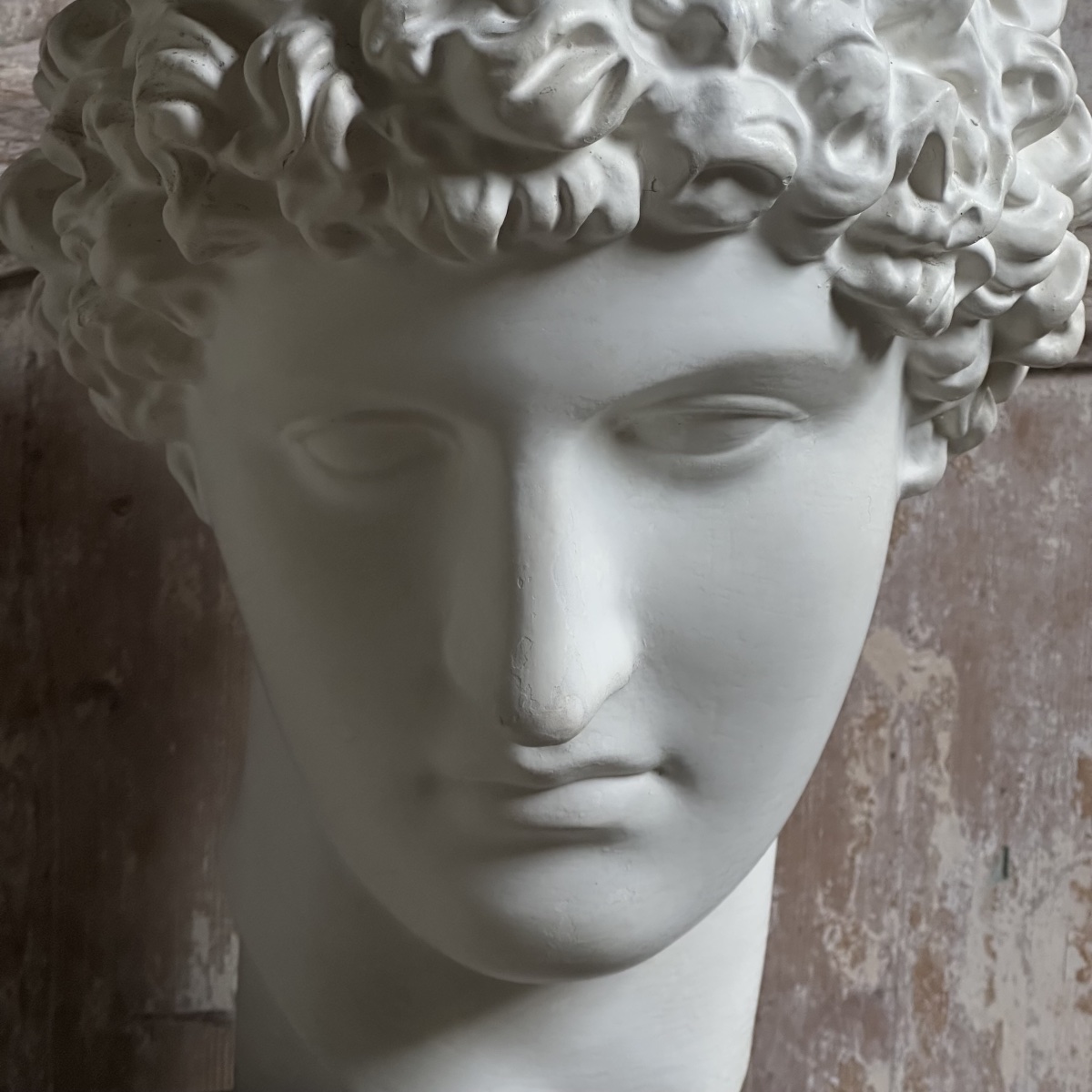 Capitoline Bust Of Antinous, Early 20th Century-photo-2