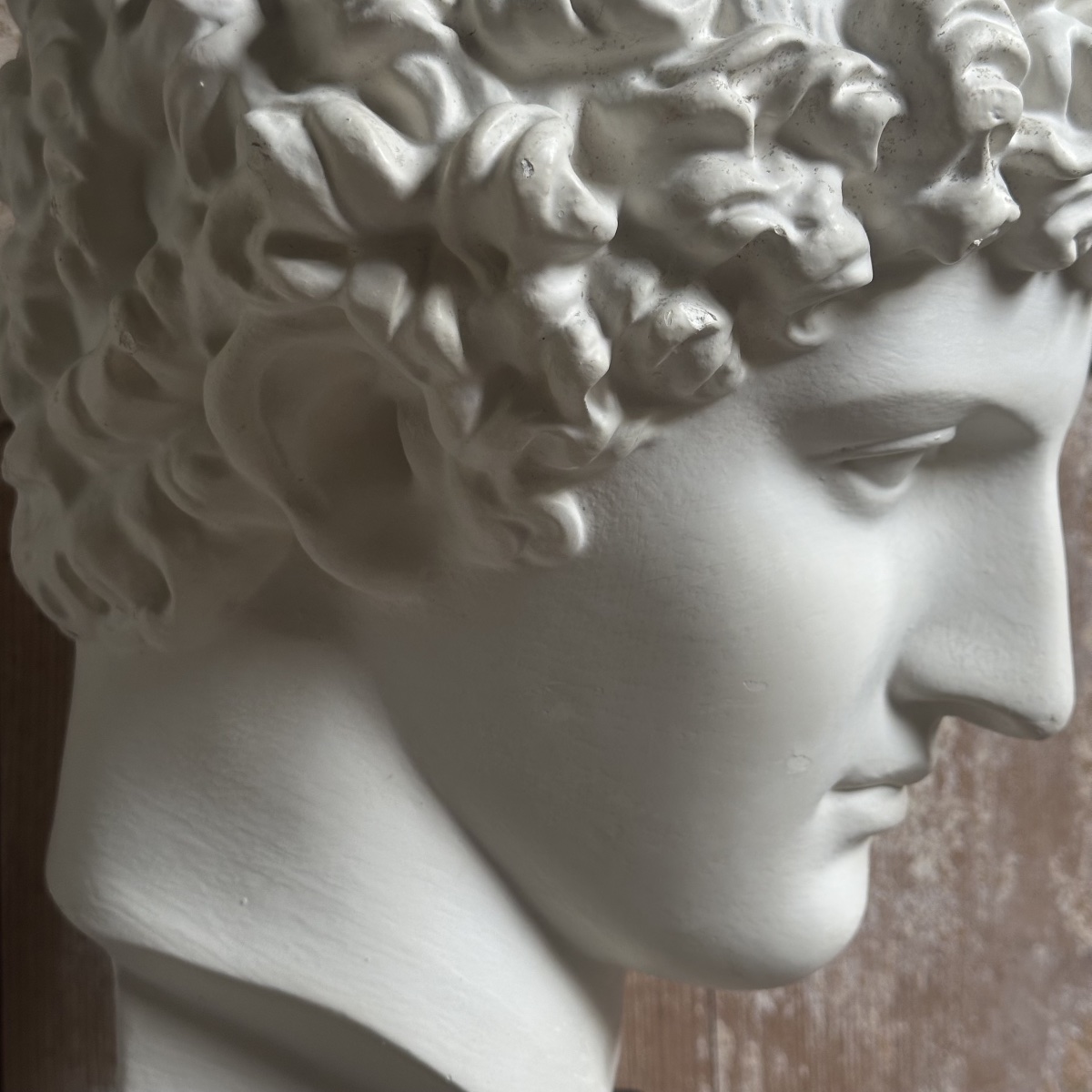 Capitoline Bust Of Antinous, Early 20th Century-photo-3