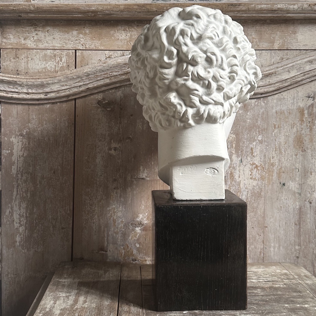 Capitoline Bust Of Antinous, Early 20th Century-photo-1