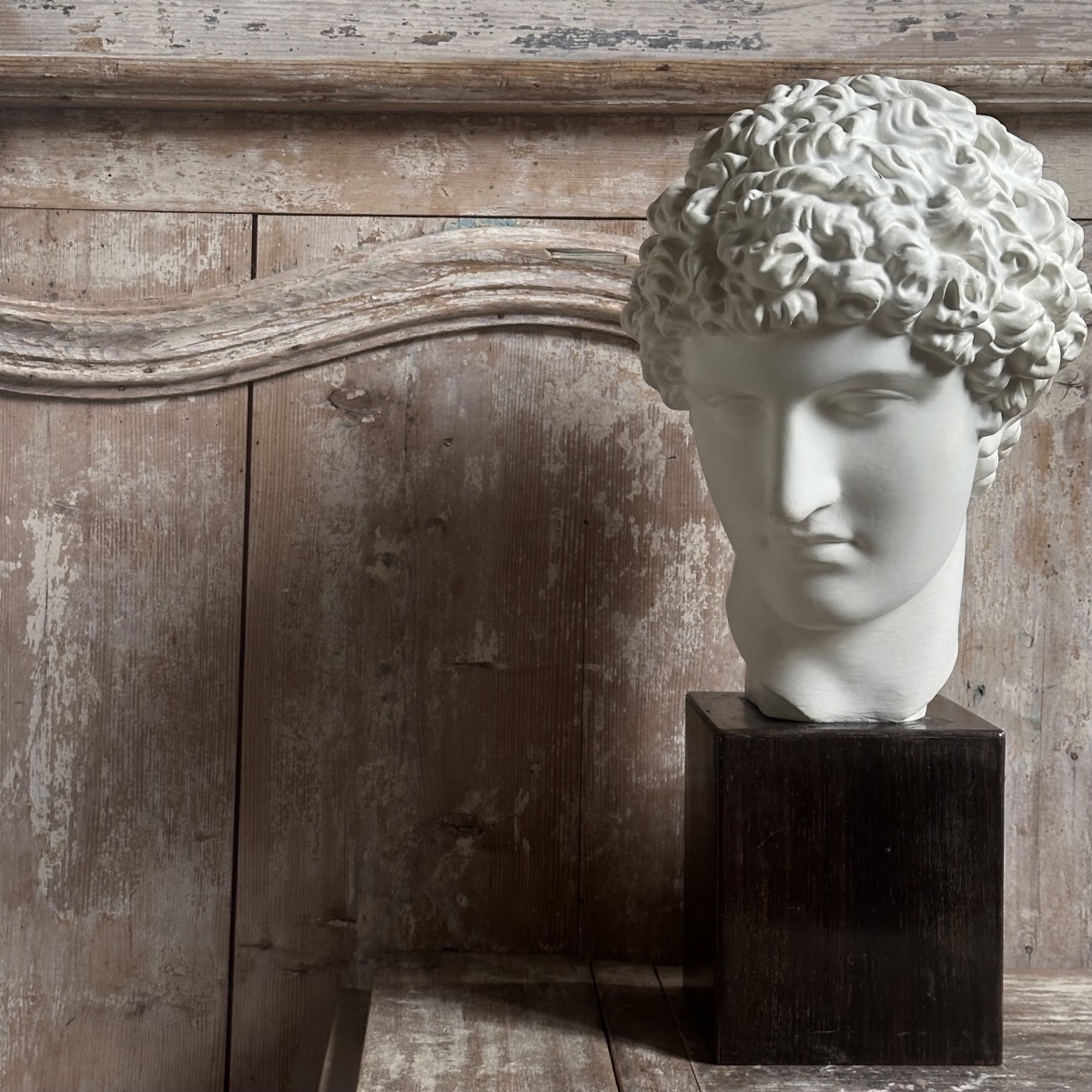 Capitoline Bust Of Antinous, Early 20th Century-photo-2