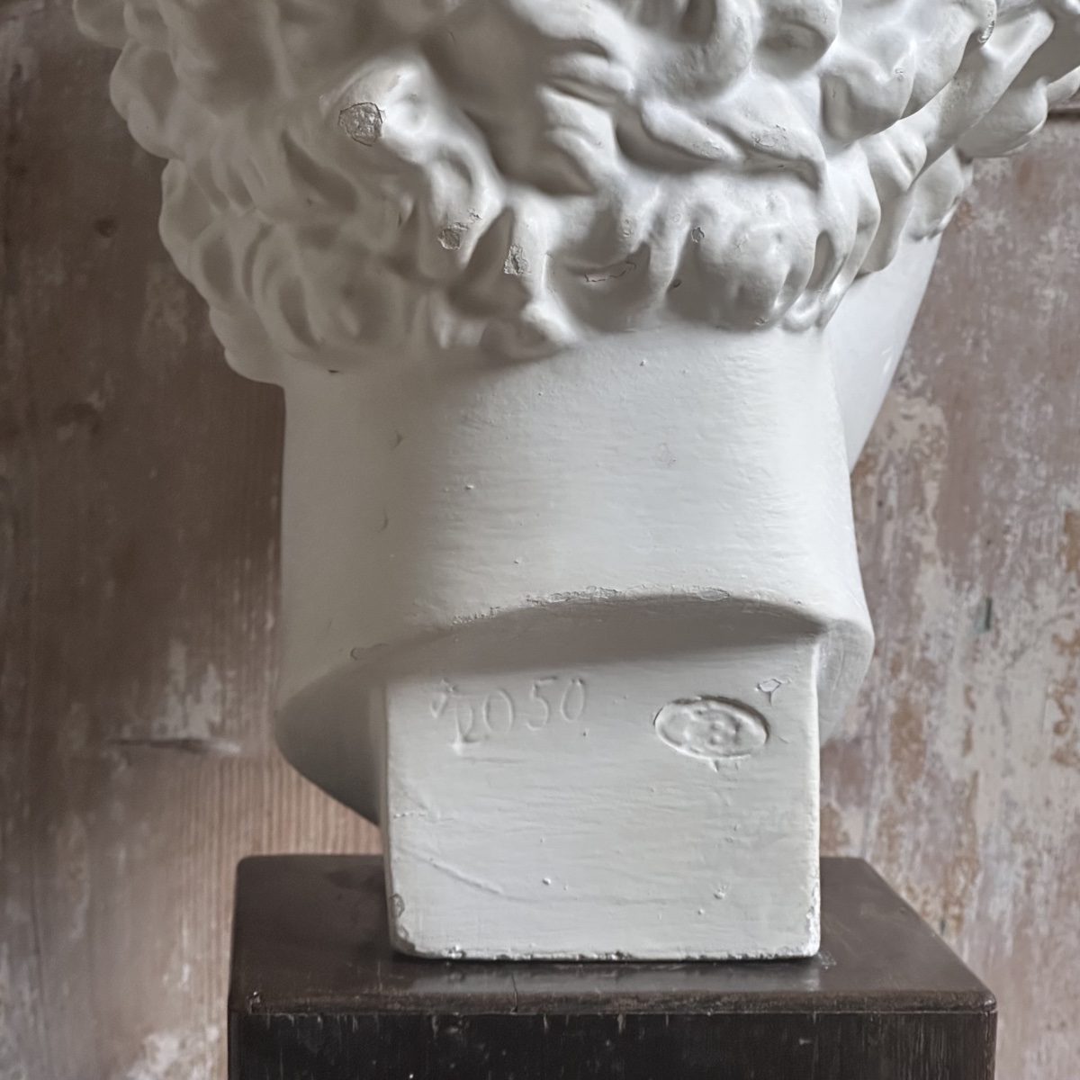 Capitoline Bust Of Antinous, Early 20th Century-photo-3