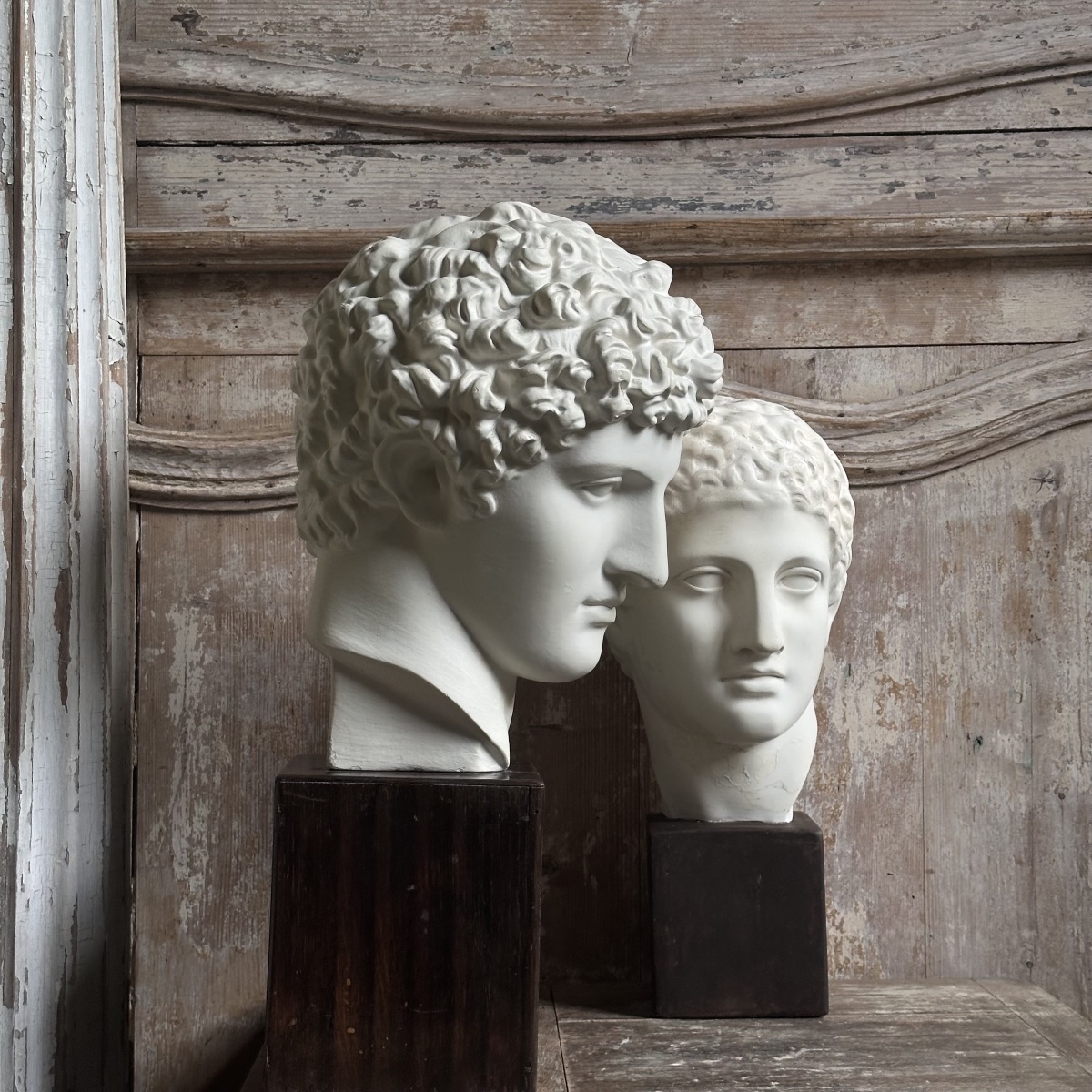 Capitoline Bust Of Antinous, Early 20th Century-photo-4