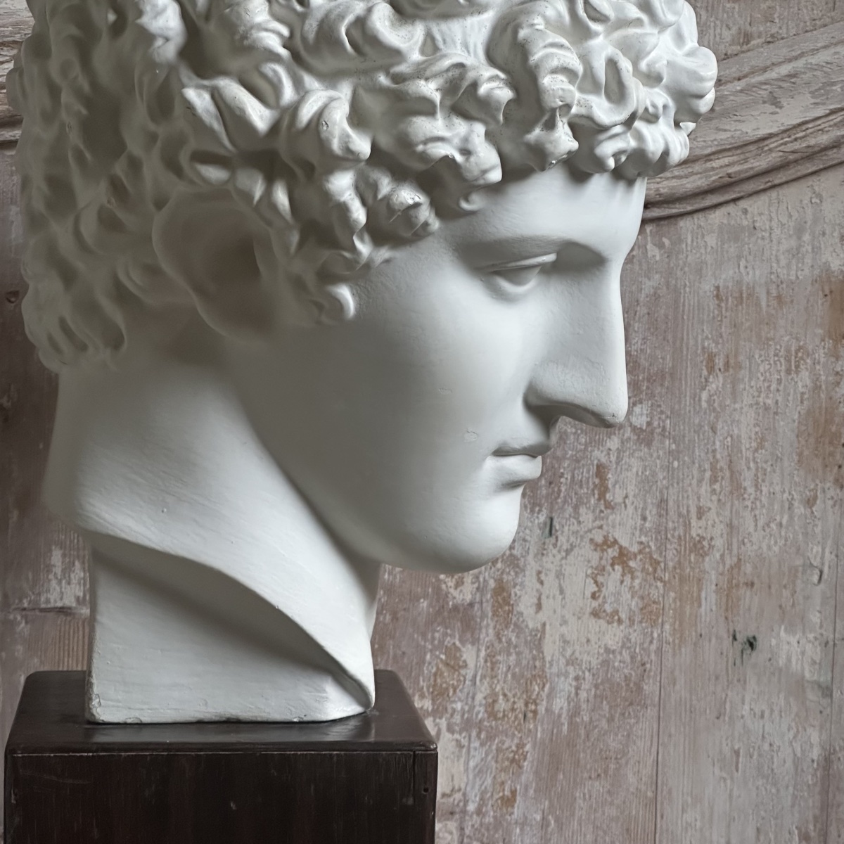 Capitoline Bust Of Antinous, Early 20th Century-photo-5
