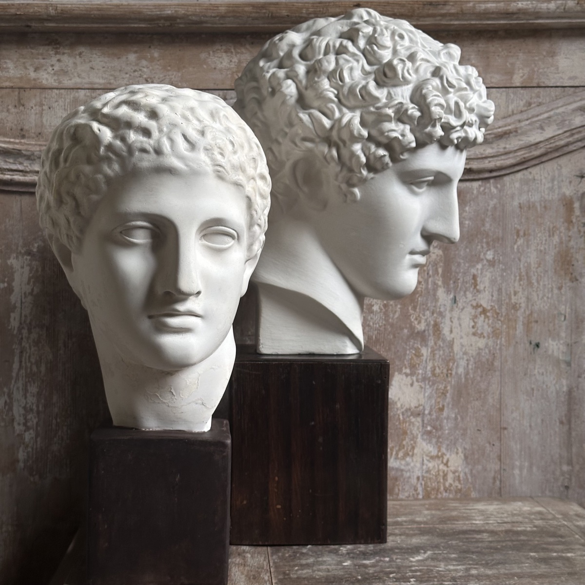 Capitoline Bust Of Antinous, Early 20th Century-photo-8