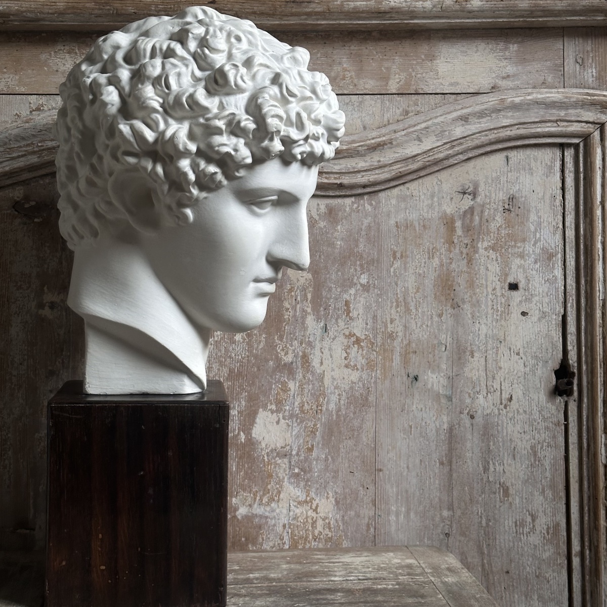 Capitoline Bust Of Antinous, Early 20th Century