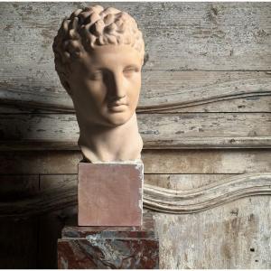 Head Of Hermes Of Olympia/terracotta Casting/20th
