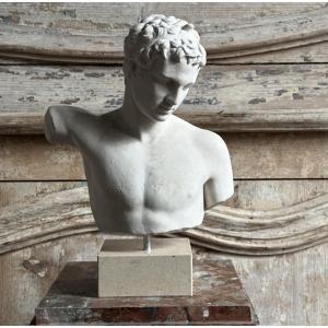 Bust “the Ephebe Of Marathon” 20th Century Plaster/praxiteles