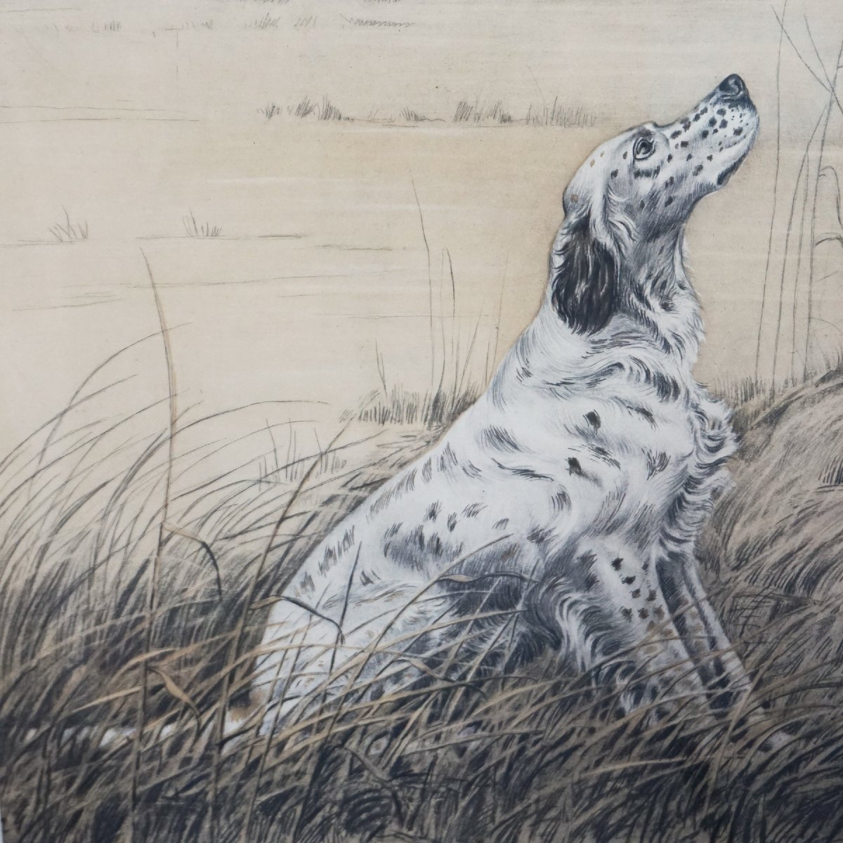 Léon Danchin – English Setter And Duck – Signed Print-photo-3