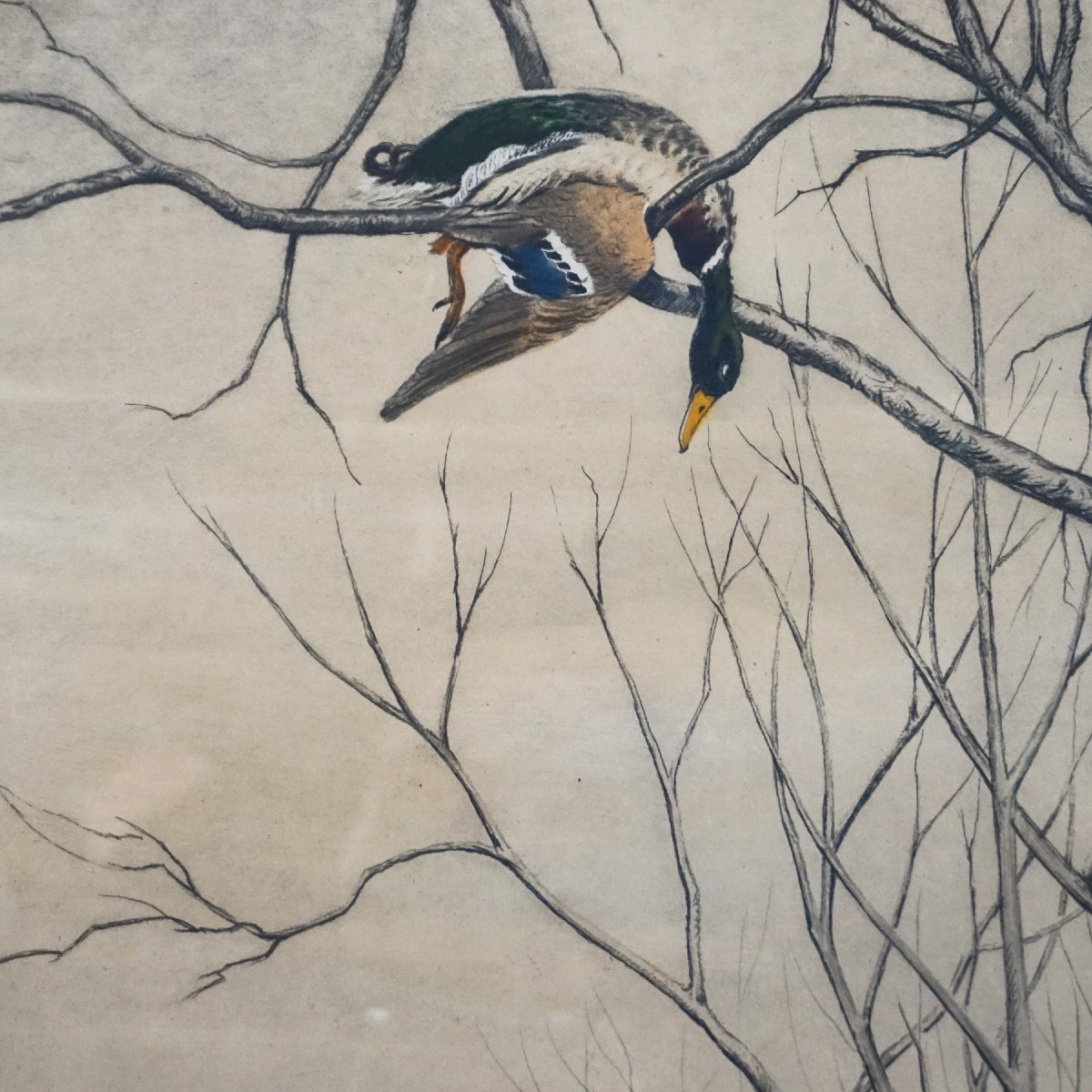 Léon Danchin – English Setter And Duck – Signed Print-photo-4