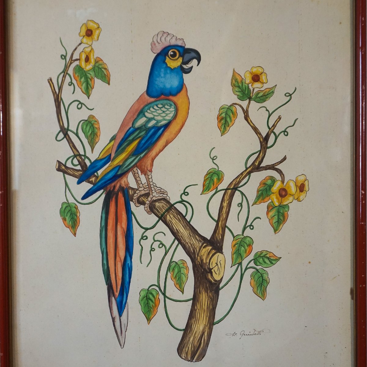 Paire d’aquarelles de perroquets signées L. Giniotti – Italie, années 1950–1970-photo-3