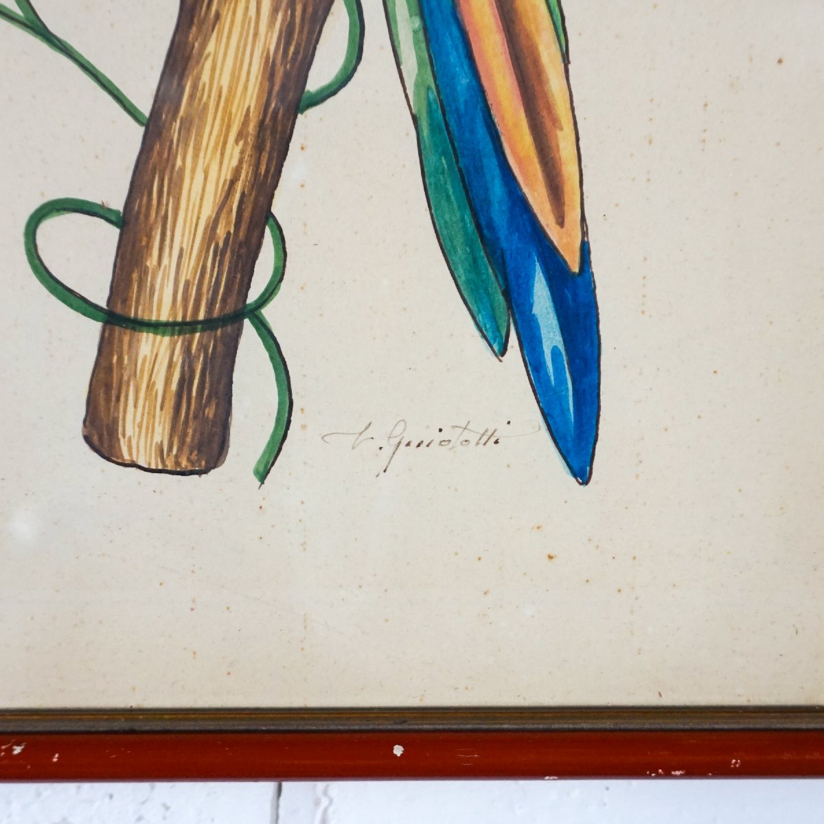 Paire d’aquarelles de perroquets signées L. Giniotti – Italie, années 1950–1970-photo-2