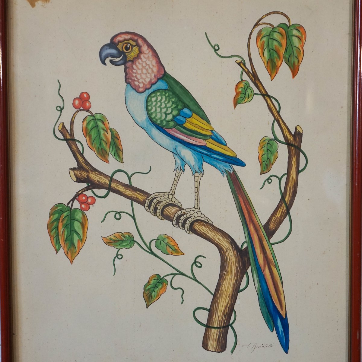 Paire d’aquarelles de perroquets signées L. Giniotti – Italie, années 1950–1970-photo-3