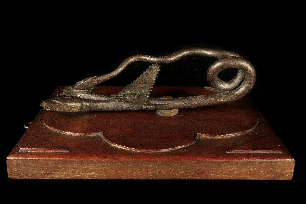 Ancient And Amazing Wrought Iron Door Knocker / Two-headed Snake Folk Art 18th Century-photo-5