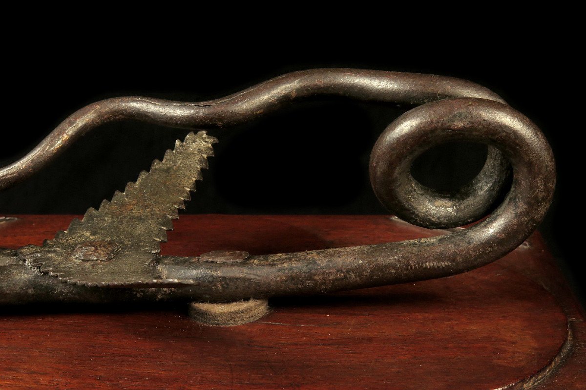 Ancient And Amazing Wrought Iron Door Knocker / Two-headed Snake Folk Art 18th Century-photo-6