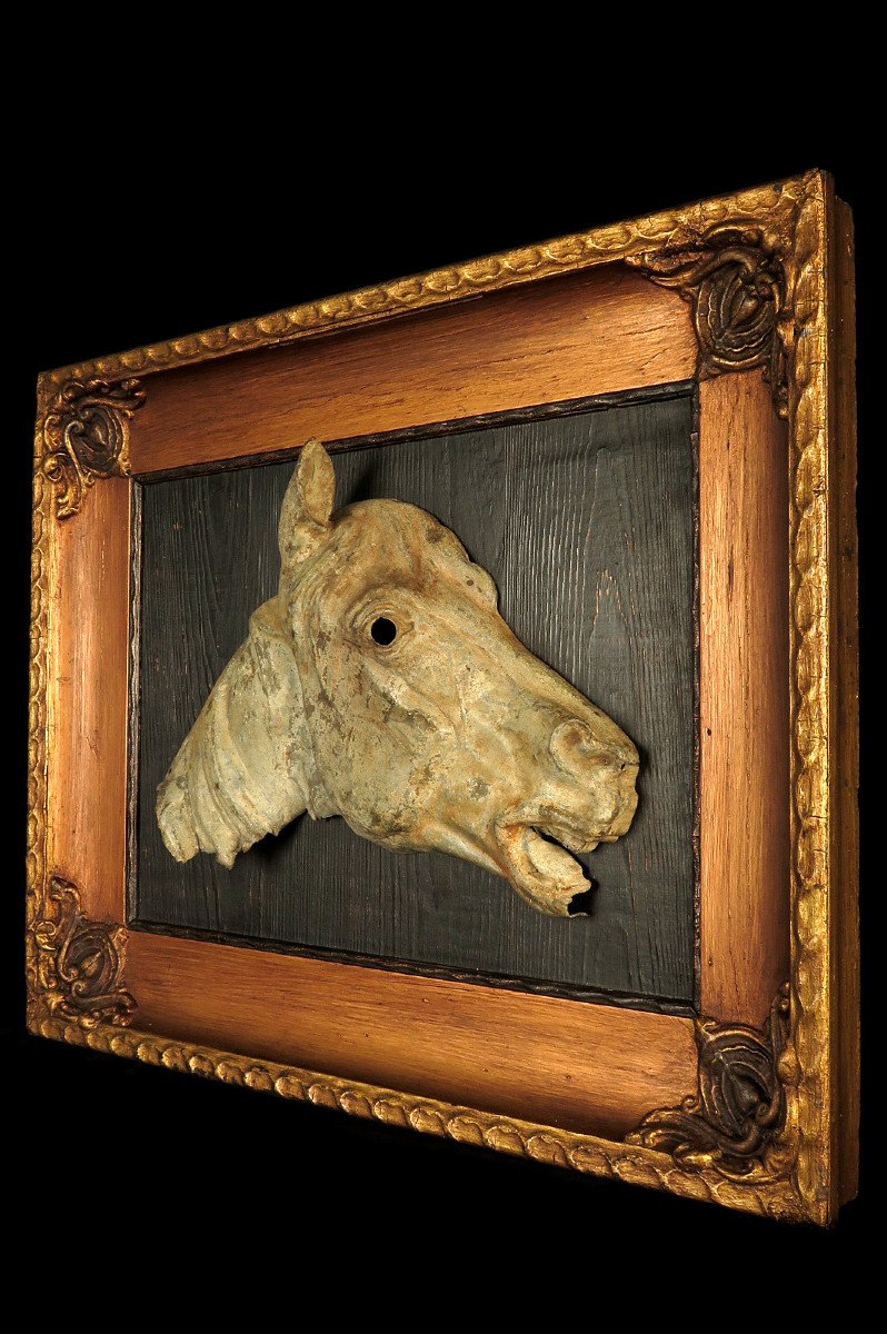 Rare Et Ancien Vestige d'Enseigne De Boucherie Chevaline En Zinc Vers 1880-photo-4