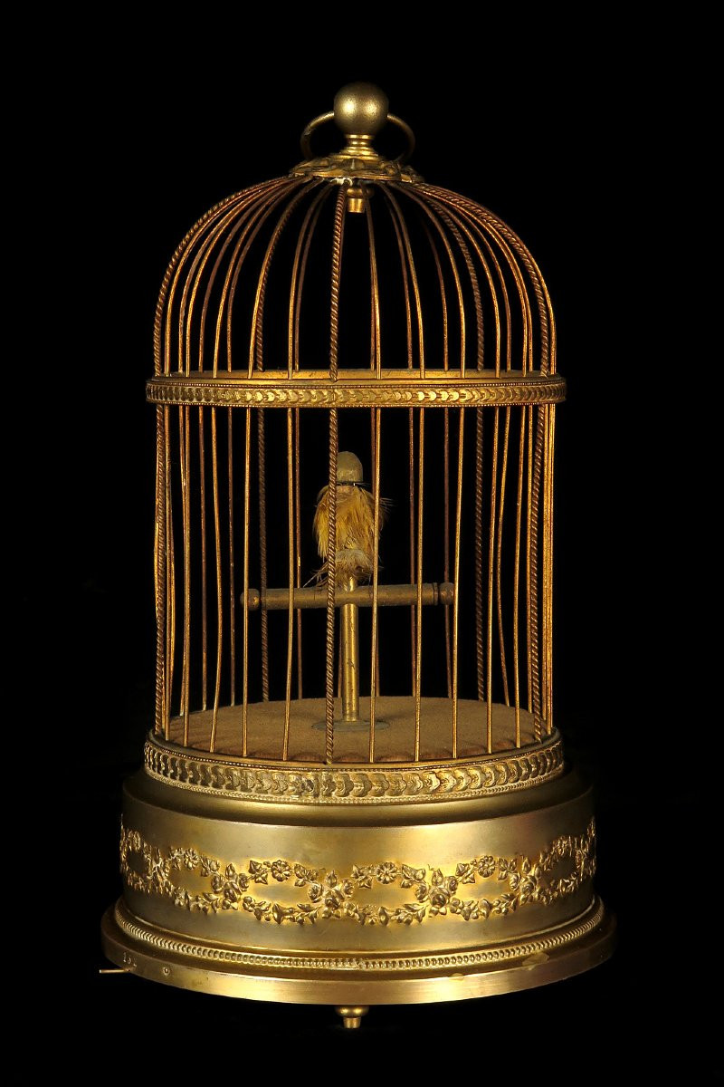 Ancien Automate, Oiseau Chanteur Vers 1900 / Fabrication Française-photo-2