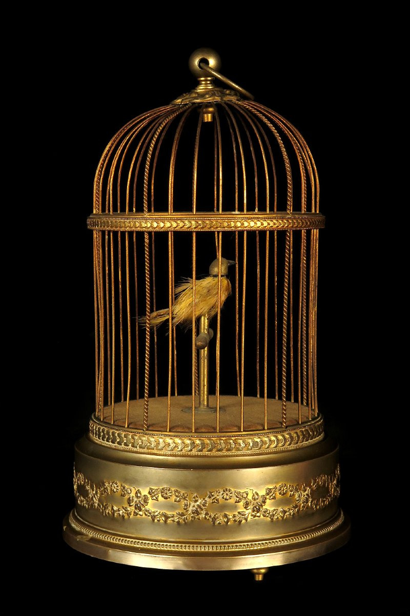 Ancien Automate, Oiseau Chanteur Vers 1900 / Fabrication Française-photo-3