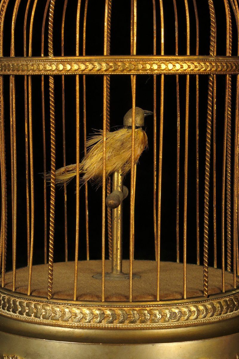 Ancien Automate, Oiseau Chanteur Vers 1900 / Fabrication Française-photo-4