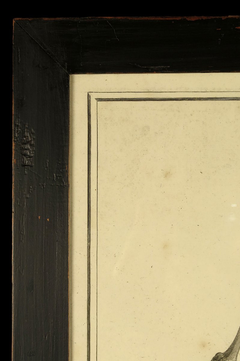 Ancienne gravure sur cuivre, anatomie d'un foetus vers 1750 / Cabinet Curiosités-photo-3