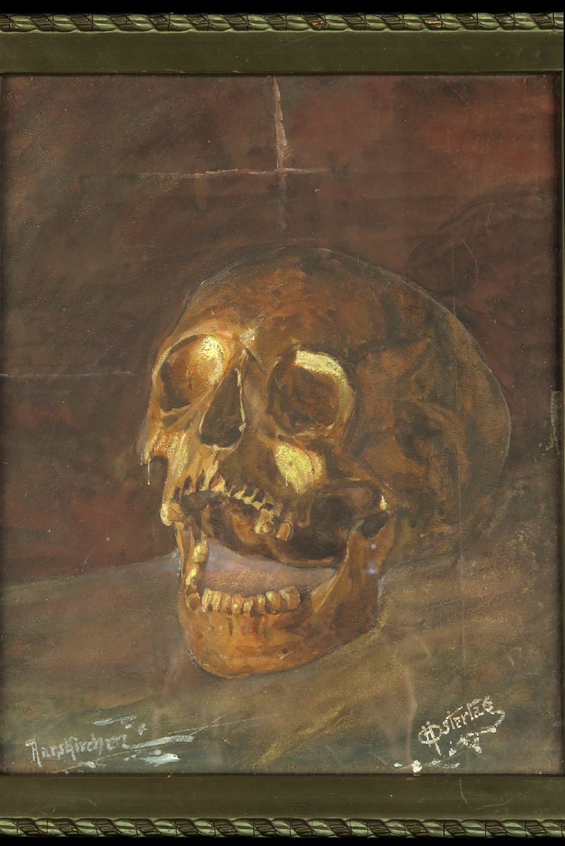 Antique Watercolor, Still Life, Circa 1920 / Memento Mori Painting, Cabinet Of Curiosities-photo-2