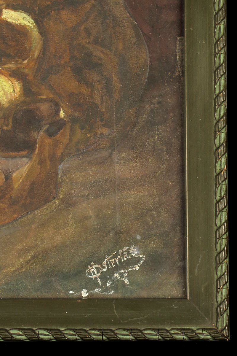 Antique Watercolor, Still Life, Circa 1920 / Memento Mori Painting, Cabinet Of Curiosities-photo-1