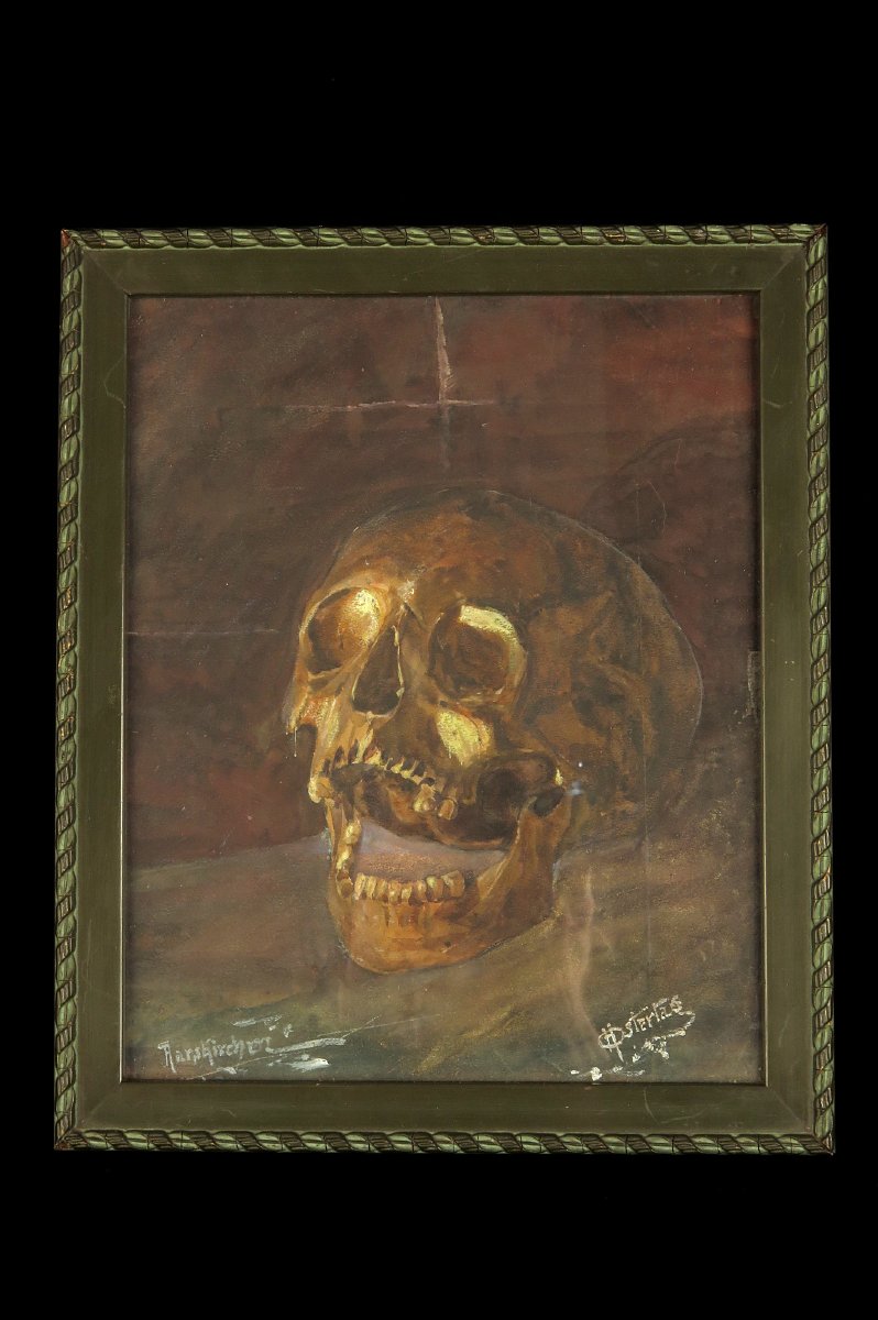Antique Watercolor, Still Life, Circa 1920 / Memento Mori Painting, Cabinet Of Curiosities