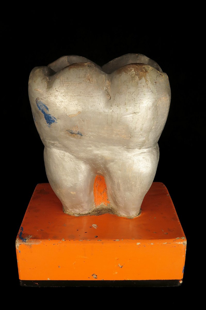 Ancienne sculpture d'une dent, vers 1940 / Dentiste Cabinet Curiosités Publicité-photo-3