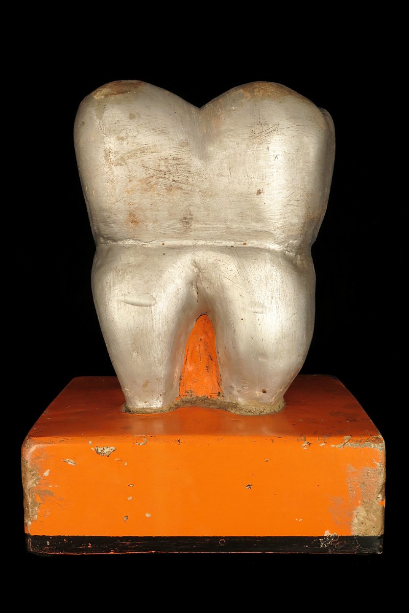Ancienne sculpture d'une dent, vers 1940 / Dentiste Cabinet Curiosités Publicité