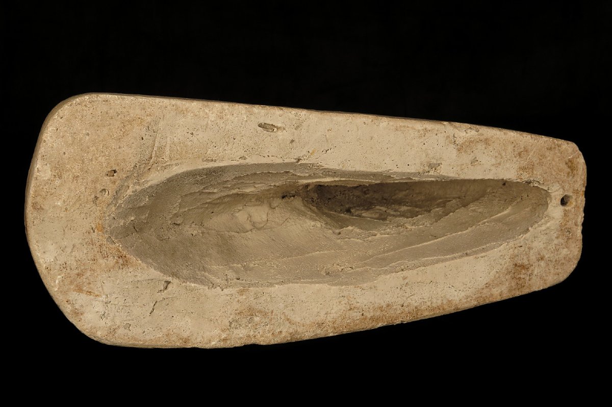Former Academic Plaster Cast, Study Of A Foot, Circa 1880. A Large-scale Piece.-photo-6