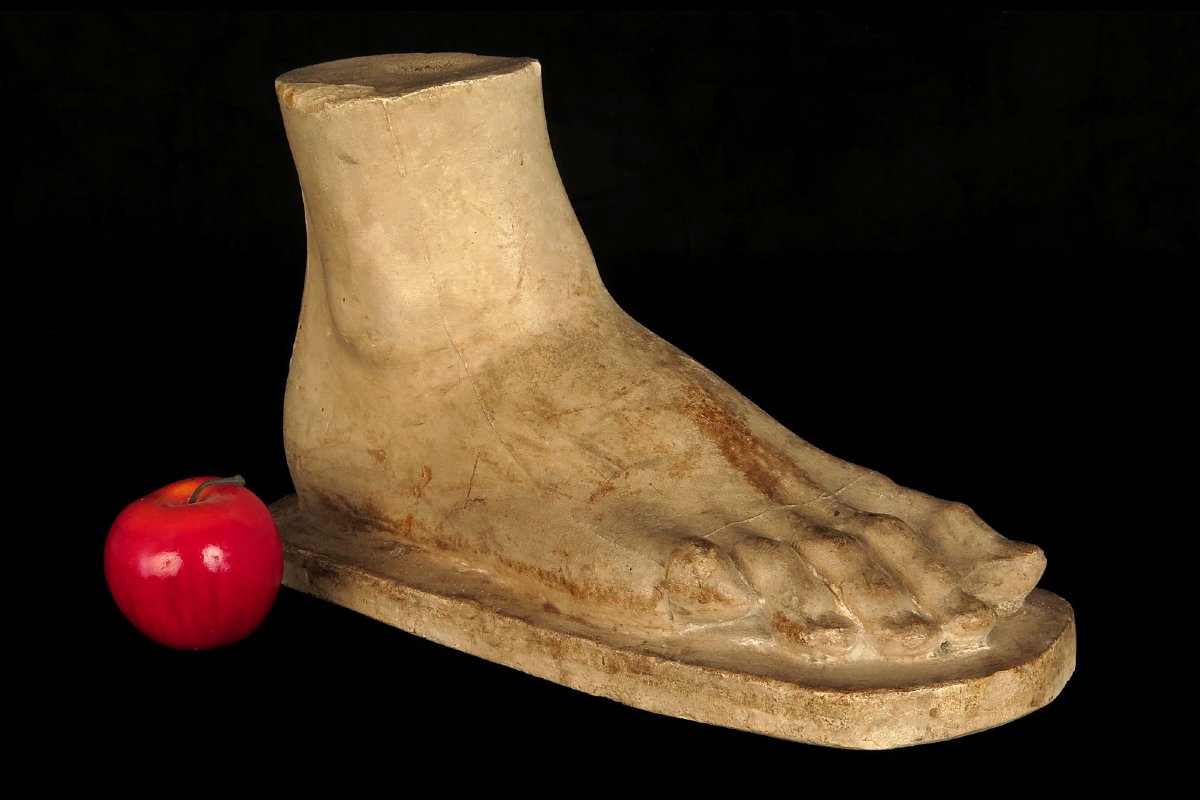 Former Academic Plaster Cast, Study Of A Foot, Circa 1880. A Large-scale Piece.-photo-8