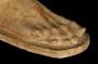 1839531-6ad21cdb13a34.jpg