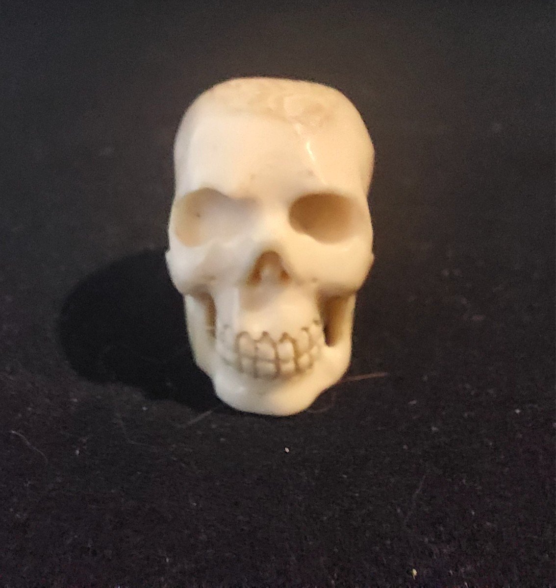 Memento Mori-photo-2